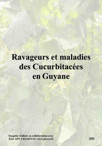 10109--SPV-Guyane & FREDON-Guyane & Chambre Agriculture  2004 Ravageurs et s en Guyane