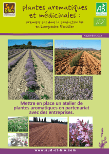 Brochure plantes aromatiques et medicinales