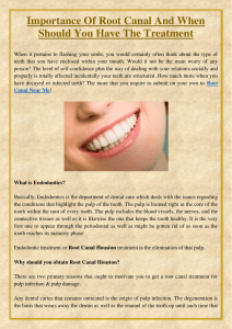 Importance Of Root Canal And When Should You Have The Treatment