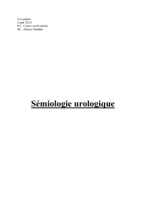 20 - 21 - roneo - semiologie urologique