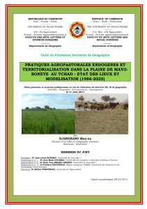 Pratiques agropastorales endogènes et territorialisation dans la plaine de Mayo-Boneye au Tchad: Etat des lieux et modélisation (1986-2025)