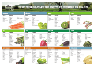 Calendrier-fruits-legumes