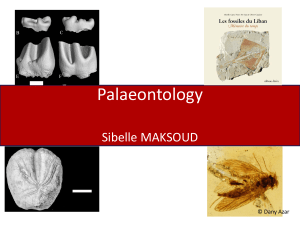 1-Palaeontology course