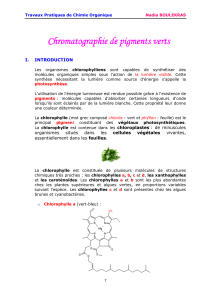 8. Chromatographie de pigments verts - Chimie Organique