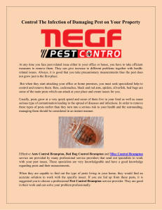 Control The Infection of Damaging Pest on Your Property-converted