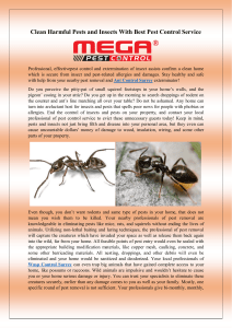 Clean Harmful Pests and Insects With Best Pest Control Service