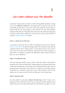 Cat Litter Cabinet and The Benefits