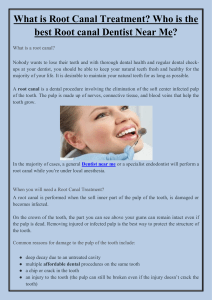 What is Root Canal Treatment Who is the best Root canal Dentist Near Me