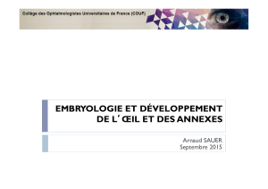 0.0.13 Embryologie 20151106163111
