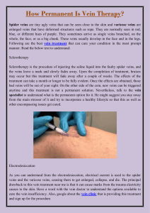 How Permanent Is Vein Therapy