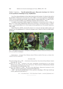 Carbonell (2013) Nouvelle plante-hôte pour Allancastria louristana (Le Cerf) et Archon apollinaris (Staudinger)