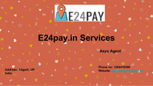 Aeps Service Provider Companies