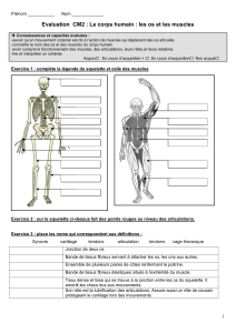 evaluation os muscles