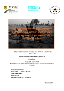 analyse pratiques irrigation palmier Tafi DiskStation Aug-13-0853-2015 Conflict.compressed