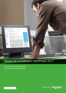 Guide de l'installation électrique 2017 schneider