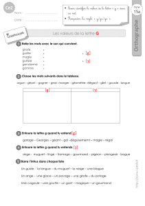 ce2-exercices-lettre-g