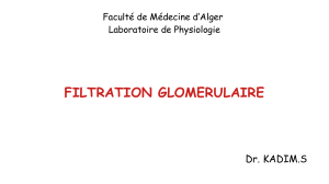 2  Filtration glomérulaire
