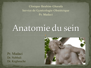 Anatomie-du-sein-Dr-Keghouche111