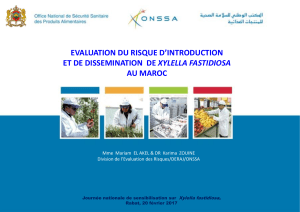 Evaluation-du-risque-dintroduction-et-de-disseminatio-de-Xylella-Fastidiosa-au-Maroc
