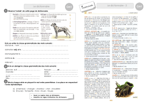 cm1-exercices-dictionnairePERSO