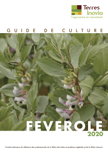 guide culture FEVEROLE2020