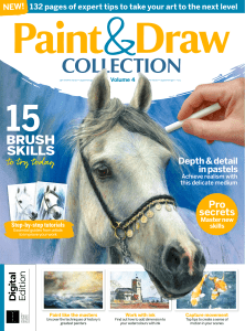 Paint.and.Draw.Collection.Volume.4 2nd.Revised.Edition