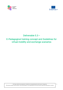 D5.3 – Virtual mobility guidelines