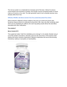 Nerve Control 911 Reviews (USA)  Best Nerve Pain Relief Supplement From PhytAge Labs