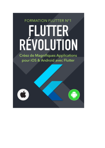 ebook-flutter-revolution