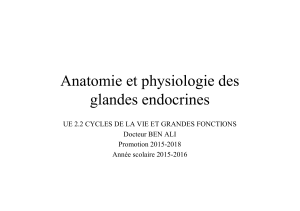 Anatomiephysiologiedesglandesendocrines
