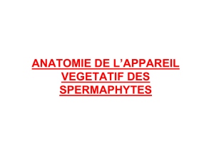 Biologie-Vegetale-Cours-09