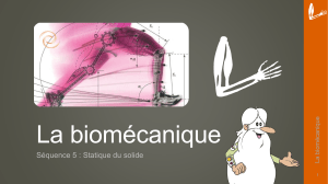 Cours - Biomécanique