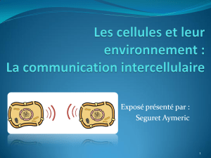 Les cellules et leur environnement   La communication intercellulaire