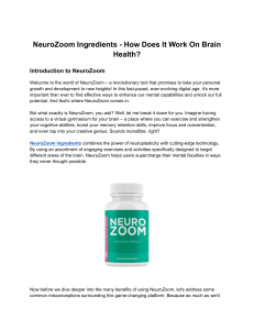 NeuroZoom Ingredients - How Does It Work On Brain Health?