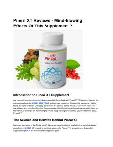 Pineal XT reviews use