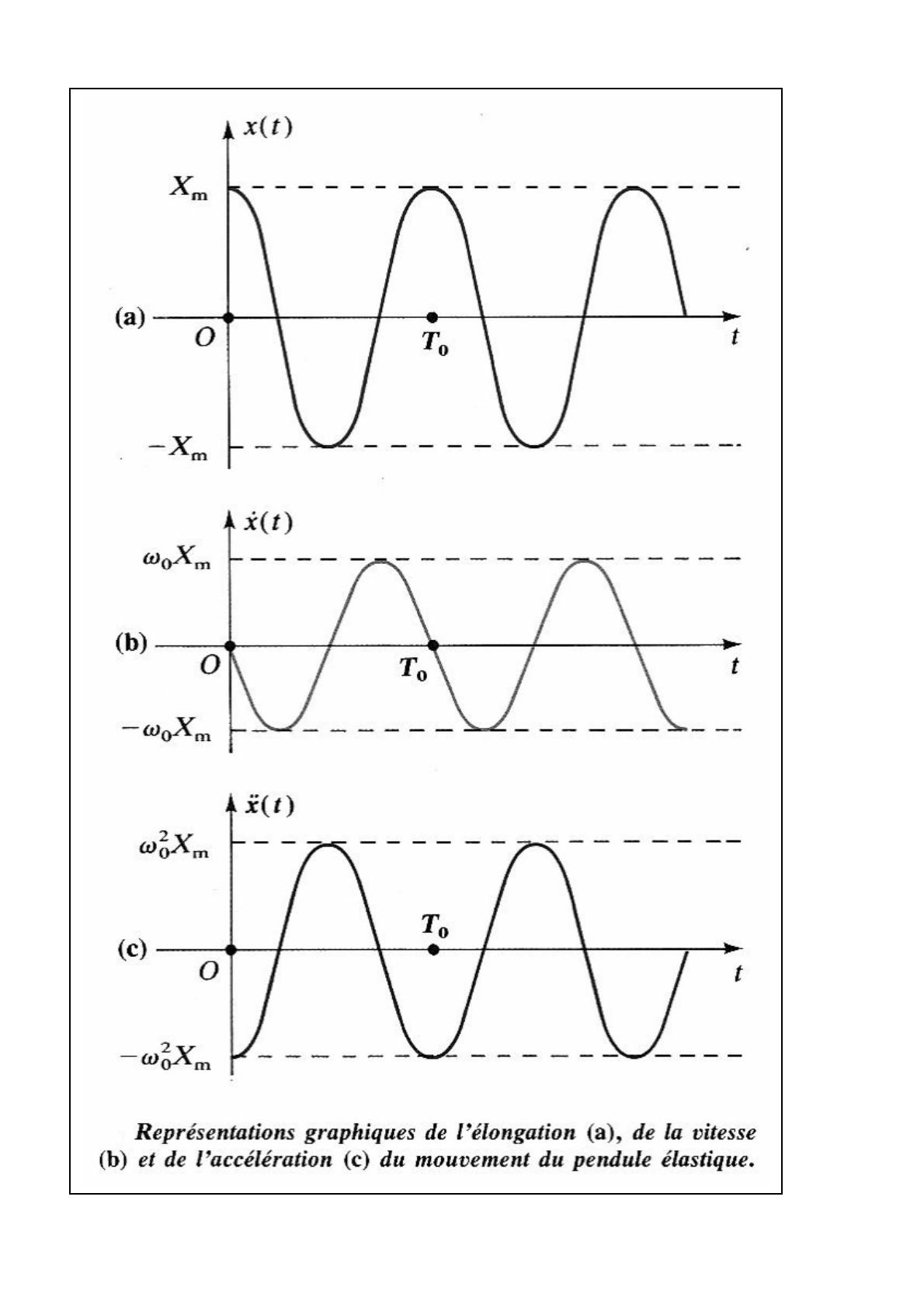 Exercices Sur Les Oscillateurs Harmoniques
