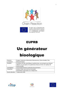 ChReact_WP4_EUPRB-générateur-biologique