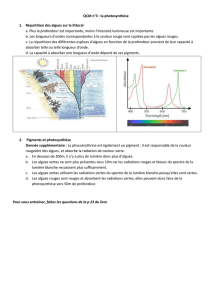 QCM n°3 : la photosynthèse Répartition des algues sur le littoral a