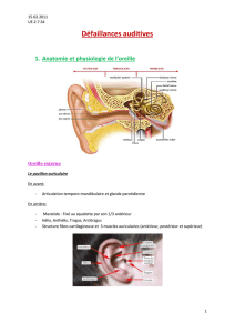 Pathologies de l`oreille