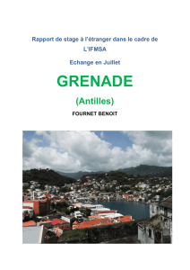 Grenade - 2012
