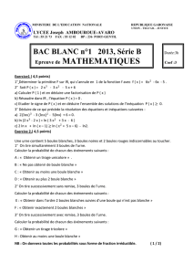 BAC BLANC n°1 2013, Série B