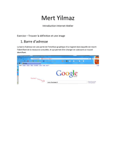 Mert Yilmaz Introduction Internet Atelier Exercice – Trouver la
