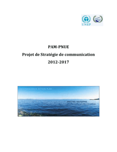 BUR 73_Inf.3 Projet de Stratégie communication 2012