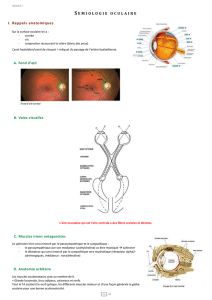 Sémiologie oculaire
