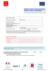 Rapport type d`instruction - Région Occitanie / Pyrénées