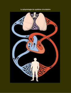 La physiologie du système circulatoire