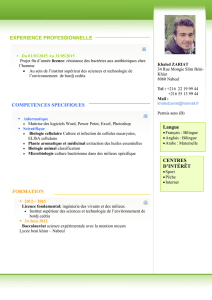 FORMATION 2012 – 2015 Licence fondamental: ingénierie des