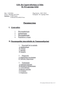 UE8-Lagrange-Pneumocytose (word)