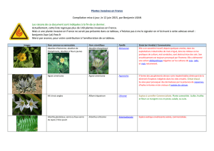 docx - Accueil du Site de Benjamin LISAN