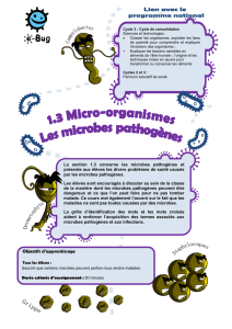Les microbes pathogènes - e-Bug